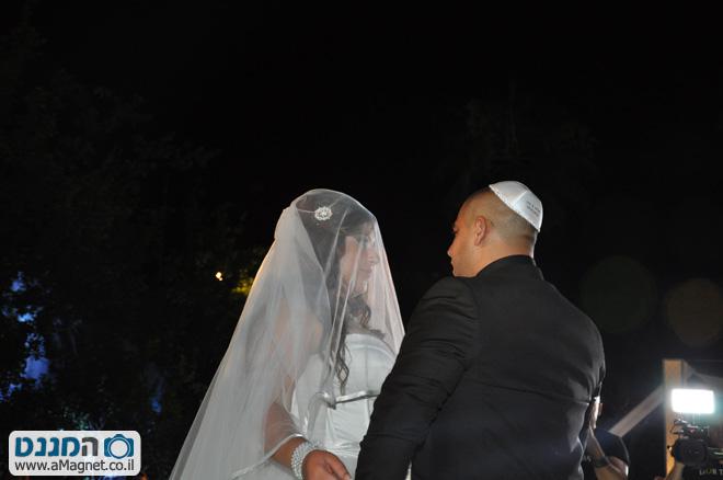 תמונה גדולה